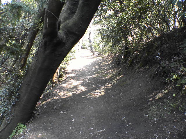 ΂