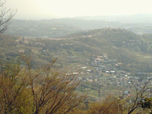2005NtAOR̍