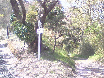 St