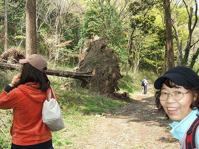 �W���b�L�[�񋟎ʐ^�u�|�؁v