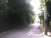 �Ɋy���ؒʂ��Q