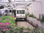 �����V���n�w�Q