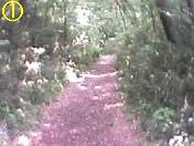 �g���l��01