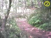 �g���l��02