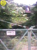 �g���l��16