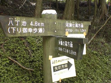 ��������E�H�[�L���O�R�[�X