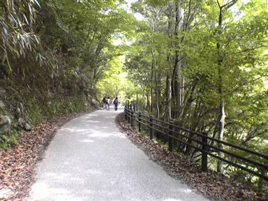 ���V��X��