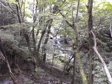 ���V��X��