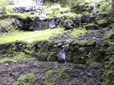 ���V��X��