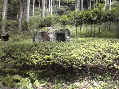 ���V��X��