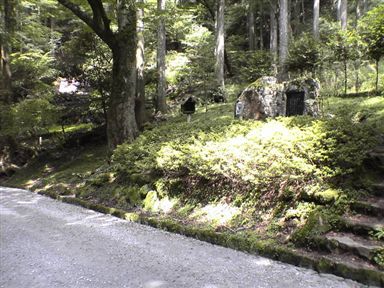 ���V��X��