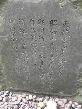 ���V��X��