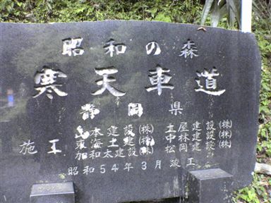 ���V���t��