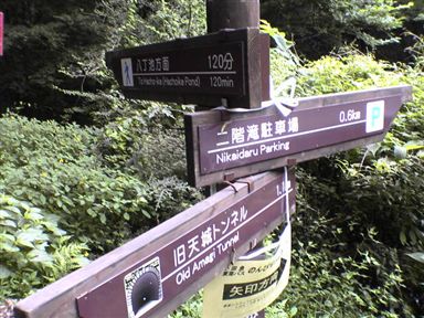 ���V���t��