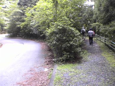 ���V���t��