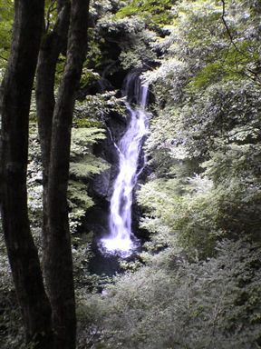 ��K��t��