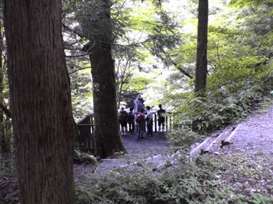 ��K��t��