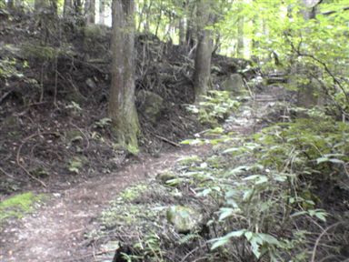 �����̑�t��