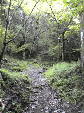 �����̑�t��