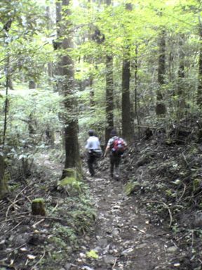 �����̑�t��