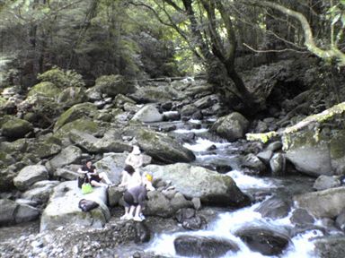 �����̑�t��