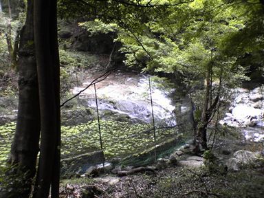 �����̑�t��