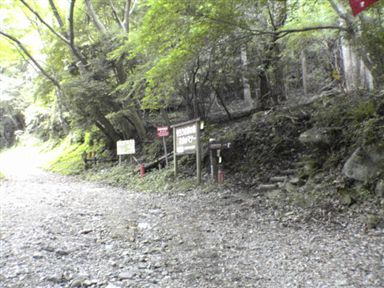 �@���Y���n�t��