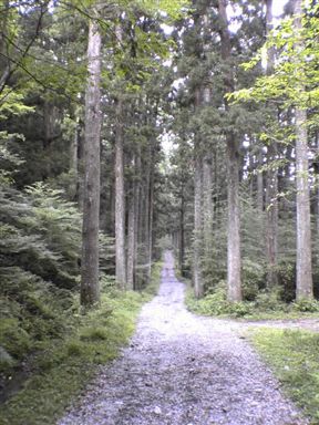 �@���Y���n�t��