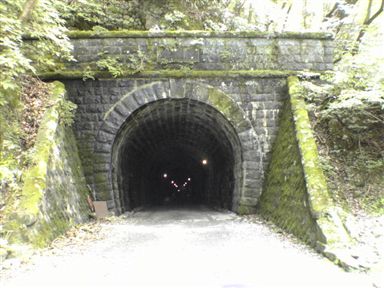 ���V��g���l��