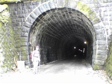 ���V��g���l��