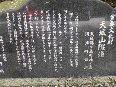 ���V��g���l��