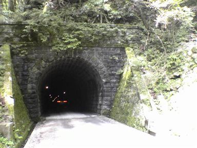 ���V��g���l��