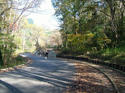 ��ʓ��ɍ���