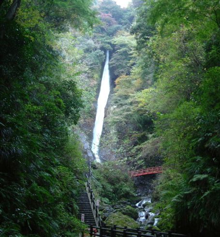 �����̑�