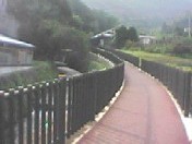 �����̑�