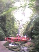 �����̑�