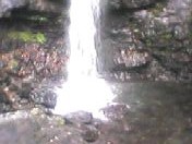 �����̑�